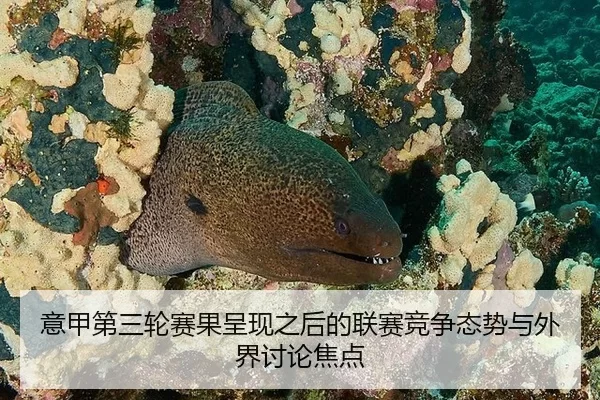 意甲第三轮赛果呈现之后的联赛竞争态势与外界讨论焦点